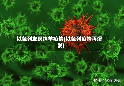 以色列发现绵羊疫情(以色列疫情再爆发)-第2张图片