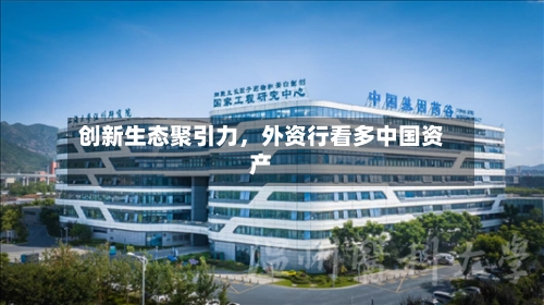 创新生态聚引力，外资行看多中国资产