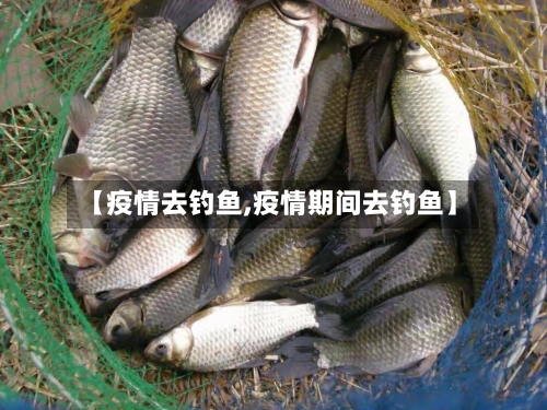 【疫情去钓鱼,疫情期间去钓鱼】-第2张图片