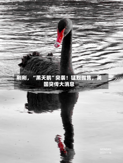 刚刚，“黑天鹅”突袭！猛烈抛售，英国突传大消息