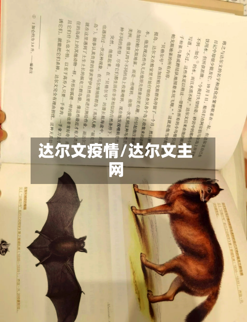 达尔文疫情/达尔文主网
