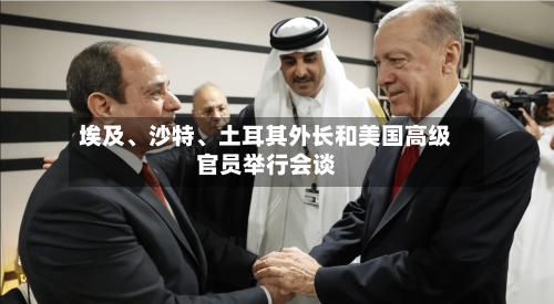 埃及、沙特、土耳其外长和美国高级官员举行会谈-第2张图片