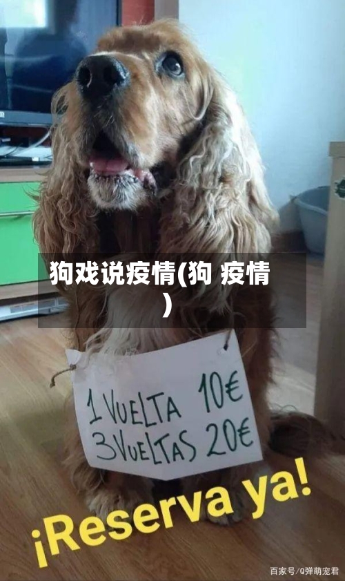 狗戏说疫情(狗 疫情)