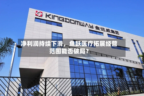 净利润持续下滑	，鱼跃医疗拓展经营范围能否破局？-第2张图片