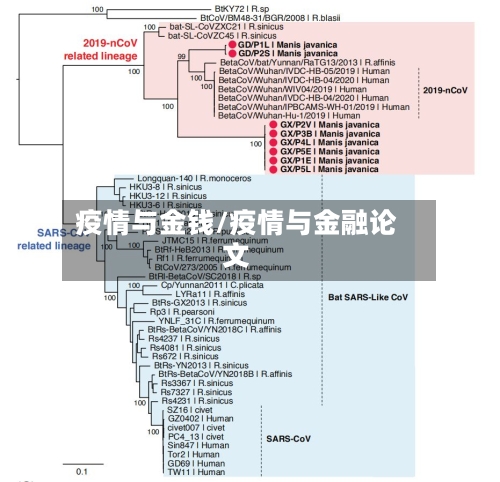 疫情与金钱/疫情与金融论文