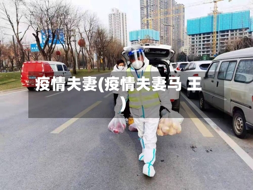 疫情夫妻(疫情夫妻马 王)-第3张图片