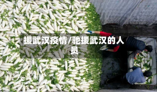 援武汉疫情/驰援武汉的人员