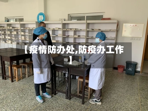 【疫情防办处,防疫办工作】-第3张图片