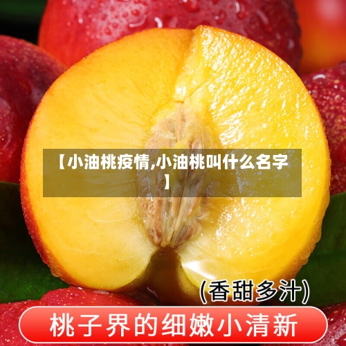 【小油桃疫情,小油桃叫什么名字】