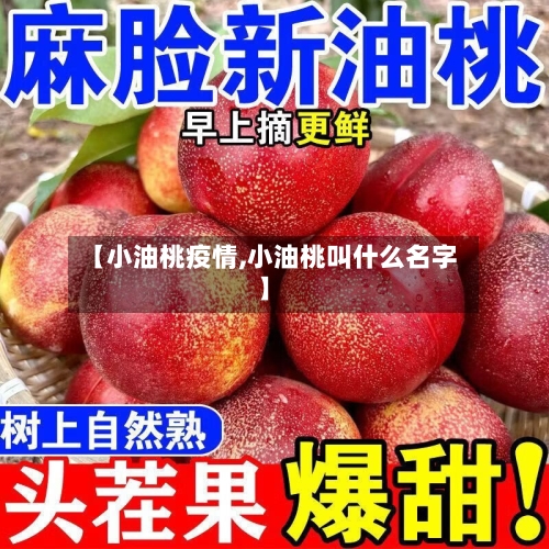 【小油桃疫情,小油桃叫什么名字】-第2张图片