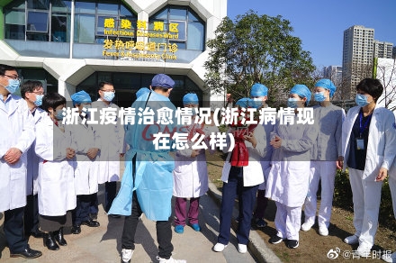 浙江疫情治愈情况(浙江病情现在怎么样)-第2张图片
