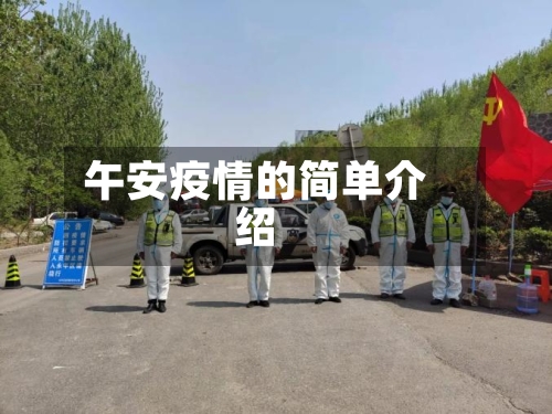 午安疫情的简单介绍