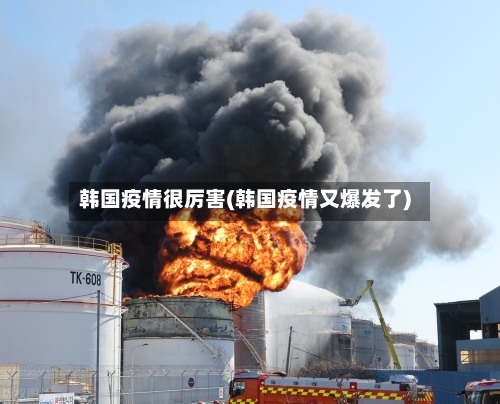 韩国疫情很厉害(韩国疫情又爆发了)-第2张图片
