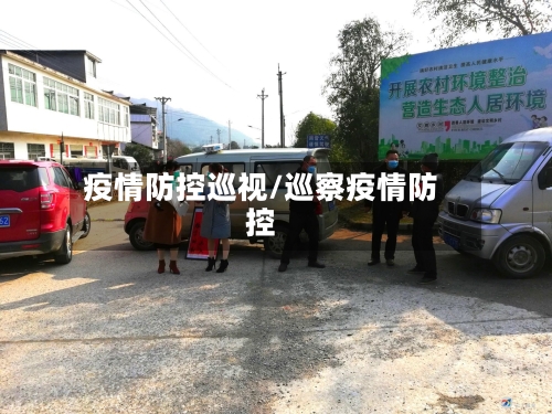 疫情防控巡视/巡察疫情防控