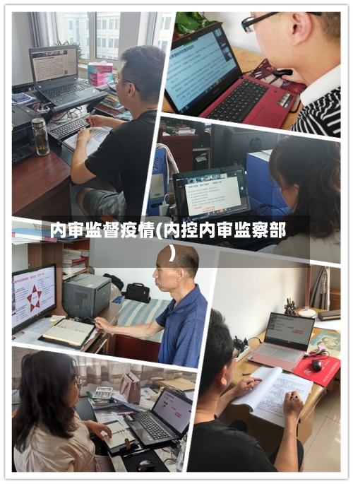 内审监督疫情(内控内审监察部)