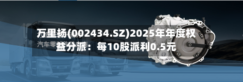 万里扬(002434.SZ)2025年年度权益分派：每10股派利0.5元