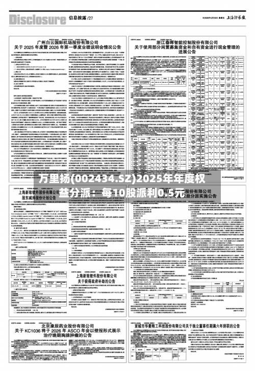 万里扬(002434.SZ)2025年年度权益分派：每10股派利0.5元-第2张图片