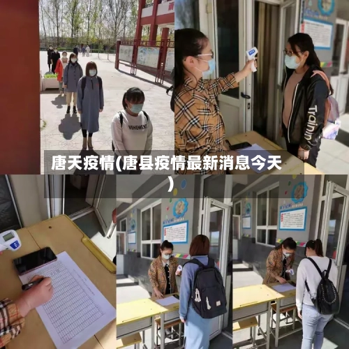 唐天疫情(唐县疫情最新消息今天)-第2张图片