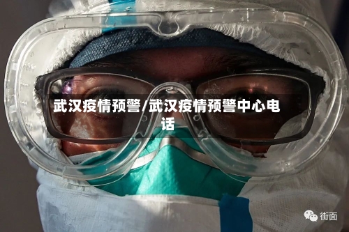 武汉疫情预警/武汉疫情预警中心电话-第2张图片