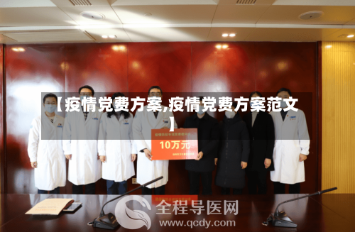 【疫情党费方案,疫情党费方案范文】-第2张图片