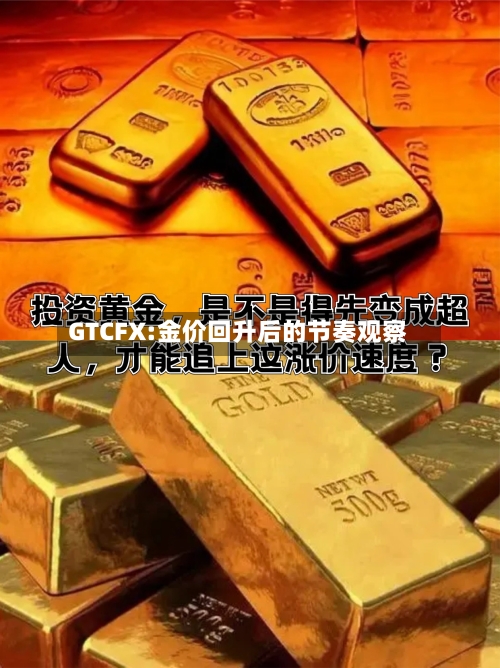 GTCFX:金价回升后的节奏观察-第3张图片