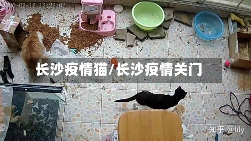 长沙疫情猫/长沙疫情关门