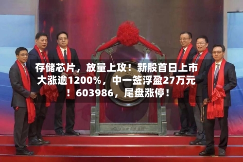 存储芯片，放量上攻！新股首日上市大涨逾1200%	，中一签浮盈27万元！603986，尾盘涨停！-第2张图片