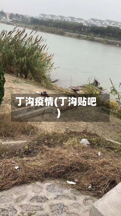 丁沟疫情(丁沟贴吧)-第2张图片