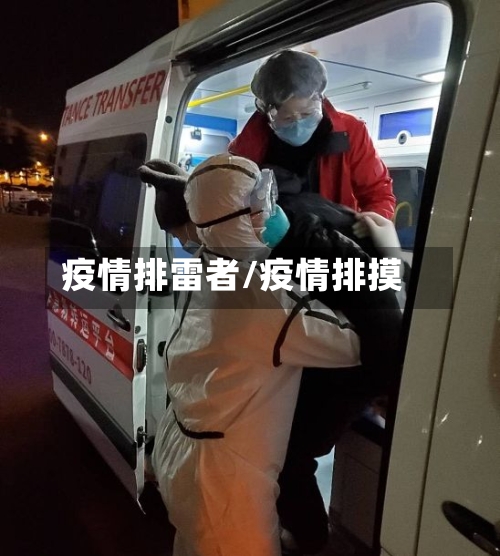 疫情排雷者/疫情排摸-第2张图片