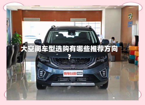 大空间车型选购有哪些推荐方向？