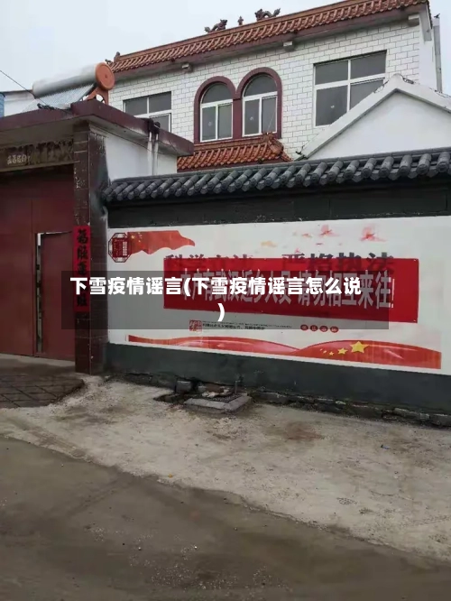 下雪疫情谣言(下雪疫情谣言怎么说)-第3张图片