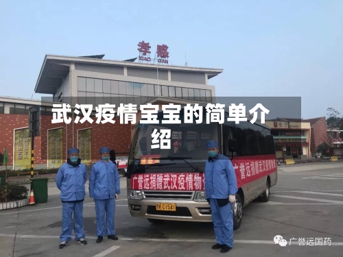 武汉疫情宝宝的简单介绍-第3张图片