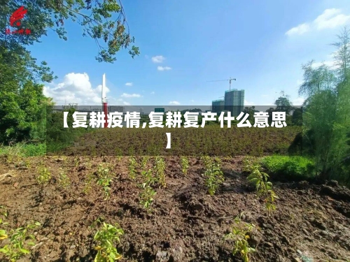 【复耕疫情,复耕复产什么意思】