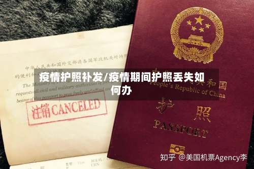 疫情护照补发/疫情期间护照丢失如何办-第3张图片