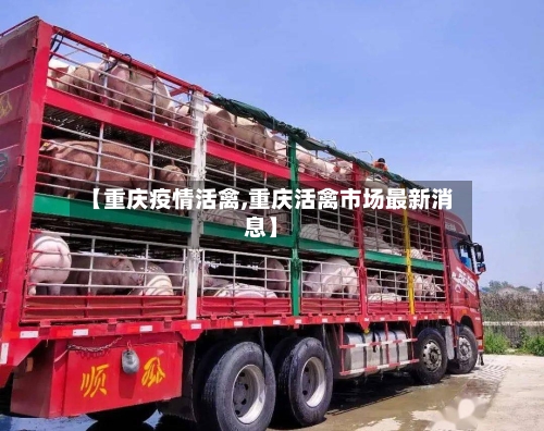 【重庆疫情活禽,重庆活禽市场最新消息】-第2张图片