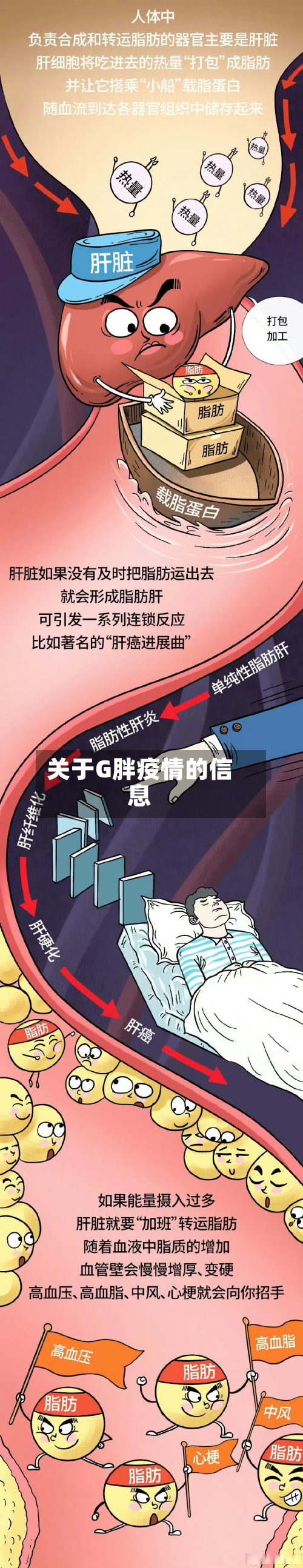 关于G胖疫情的信息-第2张图片