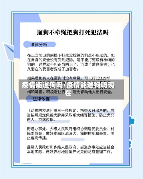 疫情能遛狗吗/疫情能遛狗吗现在-第2张图片