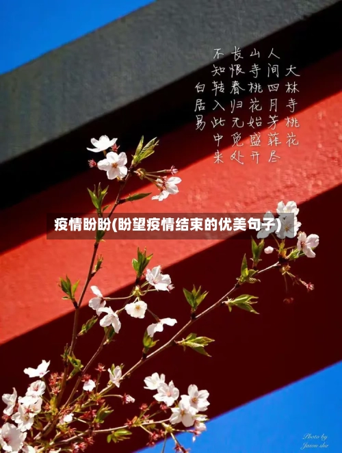 疫情盼盼(盼望疫情结束的优美句子)