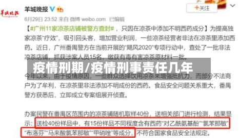 疫情刑期/疫情刑事责任几年-第2张图片