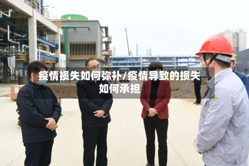 疫情损失如何弥补/疫情导致的损失如何承担