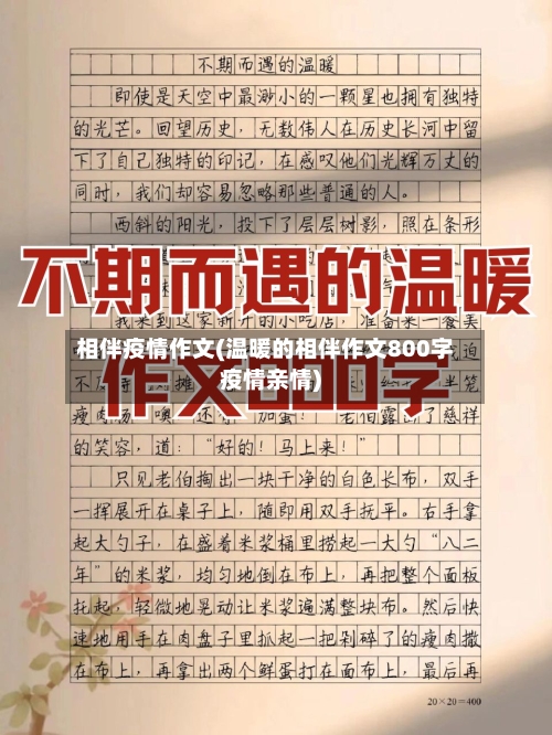 相伴疫情作文(温暖的相伴作文800字疫情亲情)-第2张图片