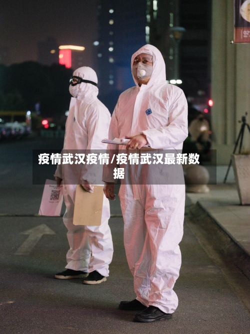 疫情武汉疫情/疫情武汉最新数据-第2张图片