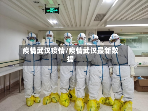 疫情武汉疫情/疫情武汉最新数据-第3张图片