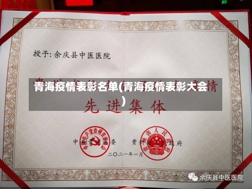 青海疫情表彰名单(青海疫情表彰大会)