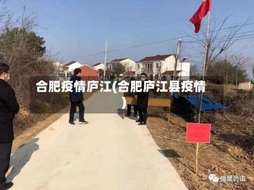 合肥疫情庐江(合肥庐江县疫情)-第3张图片