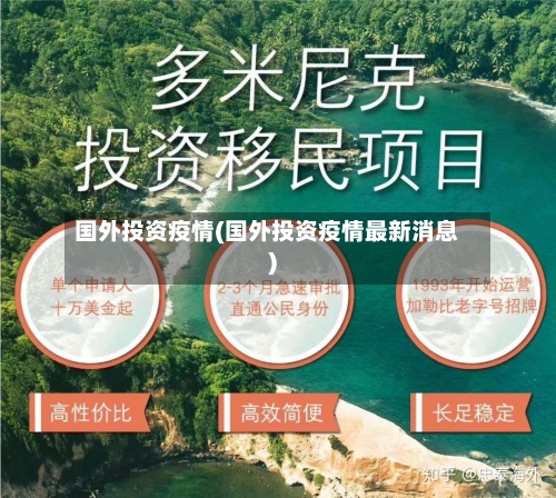 国外投资疫情(国外投资疫情最新消息)