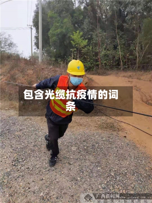包含光缆抗疫情的词条