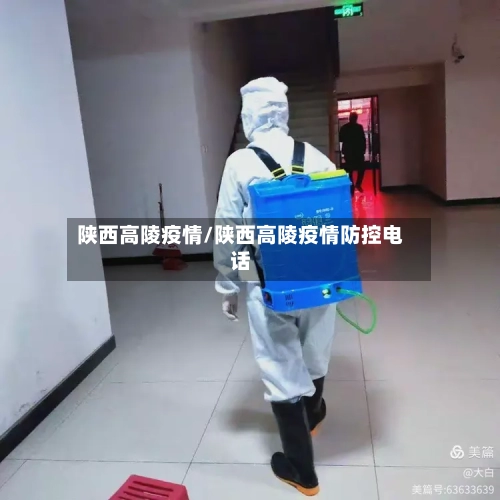 陕西高陵疫情/陕西高陵疫情防控电话-第2张图片