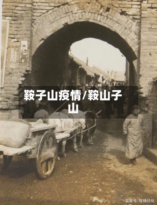 鞍子山疫情/鞍山子山-第2张图片