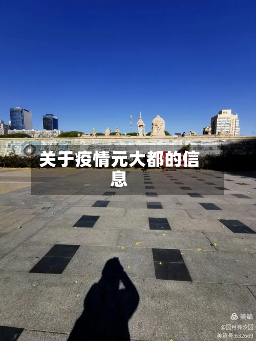 关于疫情元大都的信息